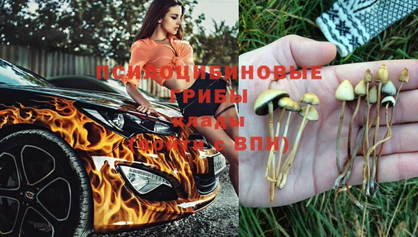 экстази Алзамай