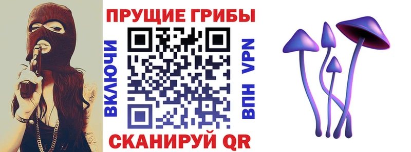 Галлюциногенные грибы Psilocybine cubensis  ссылка на мегу зеркало  Неман 