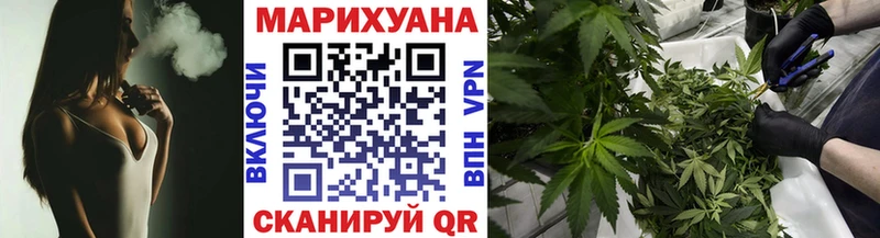 Канабис сатива  Неман 